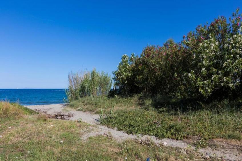 La Corse et la plage autrement - foto 36