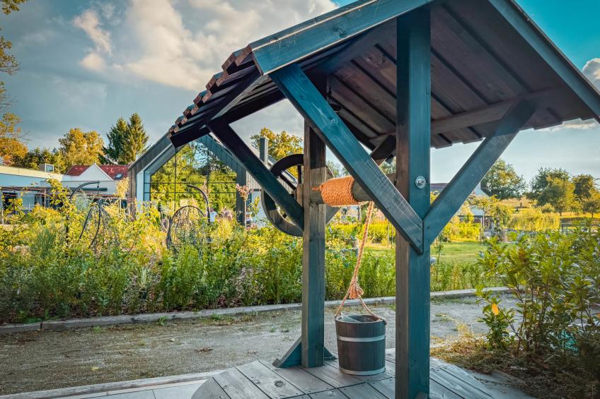 Ayurvedic Palace - foto 52