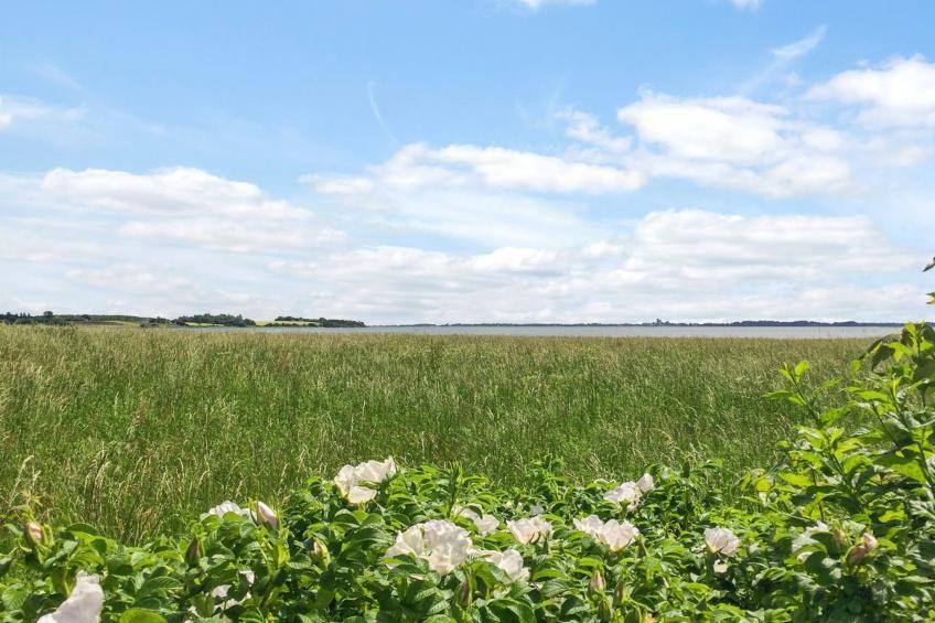 "Vojo" - 100m from the sea in Lolland, Falster and Mon - foto 21