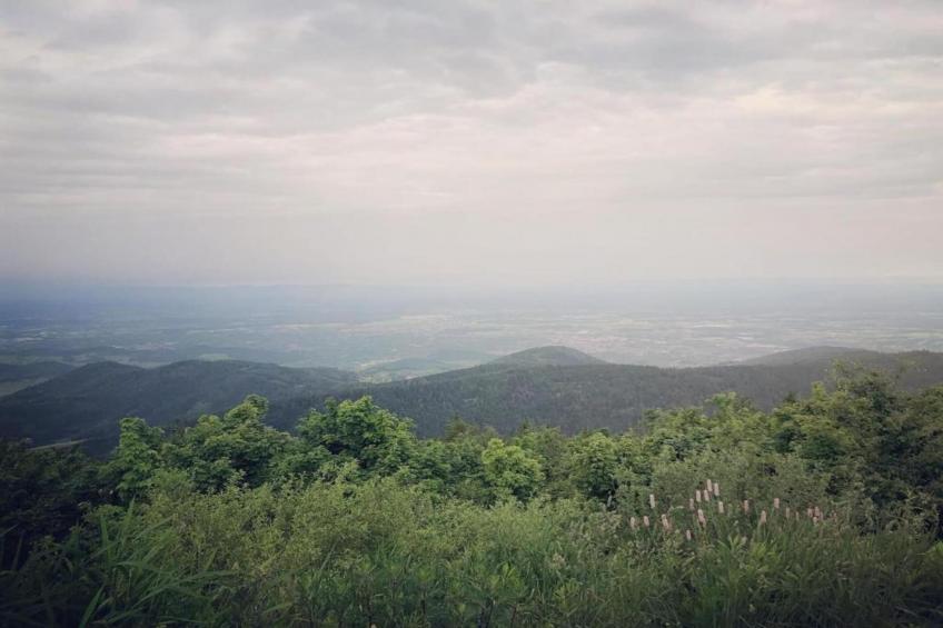 Kniebis - foto 27