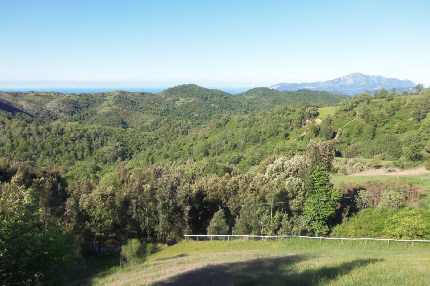 Kleines feines helles Appartment im Gruenen mit Meerblick - foto 5