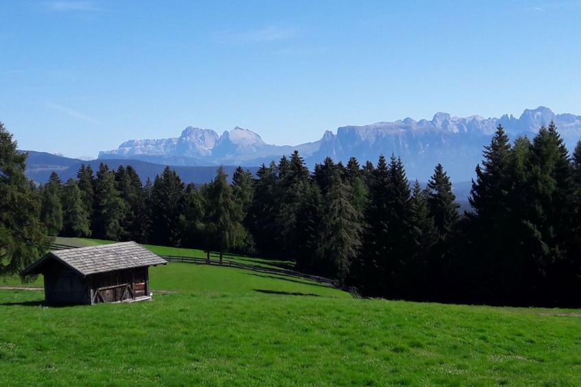 Wohnung "Valentin" - foto 10