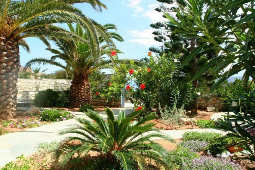 Exklusives Garten-Appartment in Paros - foto 15