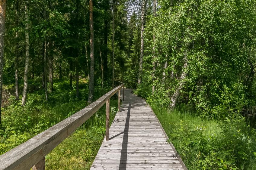 Myllytupa - foto 15