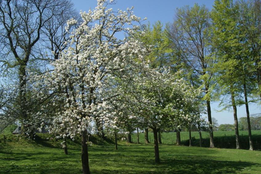 Normannisches Ferienhaus mit Charme les châtaigniers 1 Zimmer - foto 32