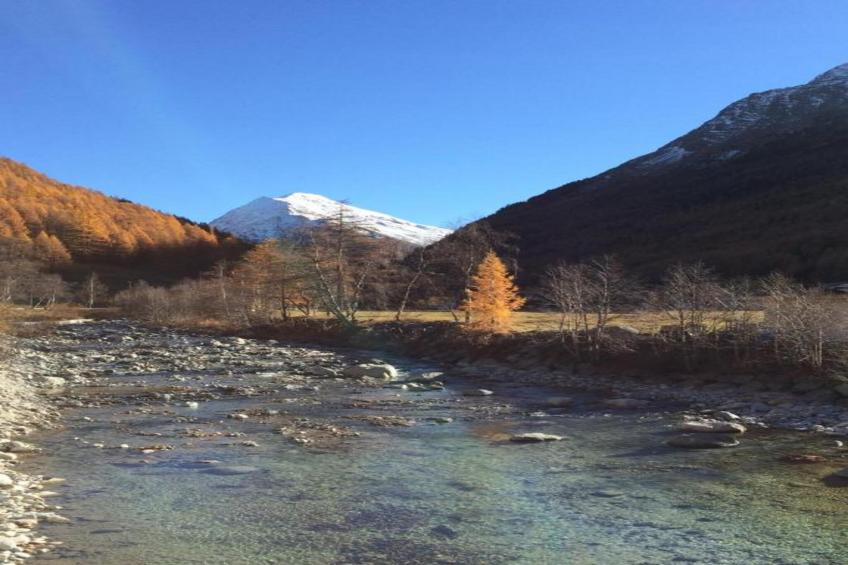 Chalet Sunstar große Wohnung - foto 21