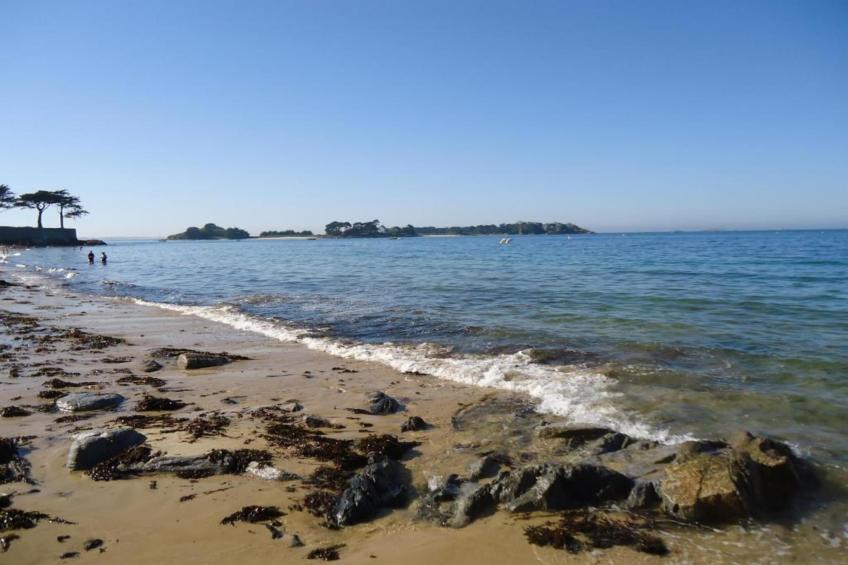 Le Manoir de Coatanscour - foto 36