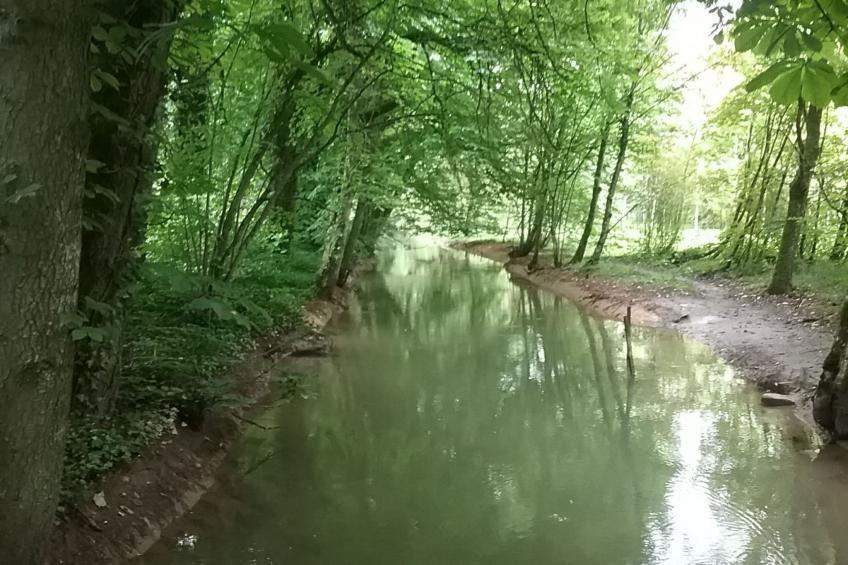 in Nantois mit Privatem Pool - foto 12