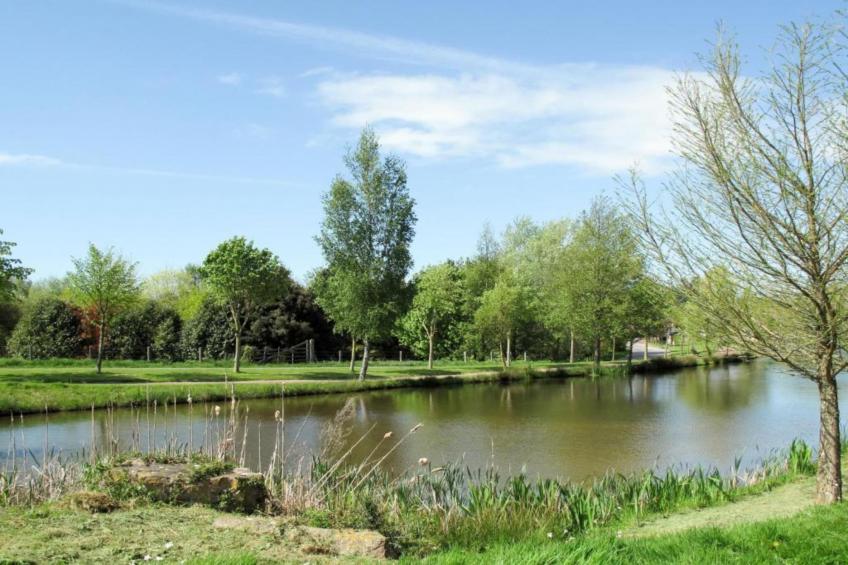 Villa Terre de Lumière - foto 41