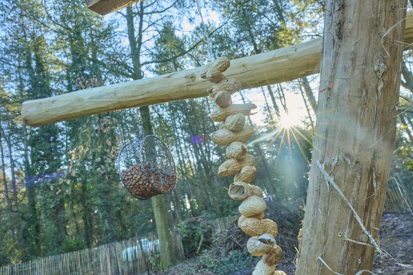 Lierelodge - foto 34