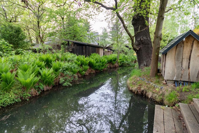 Spreewaldnostalgie - foto 14