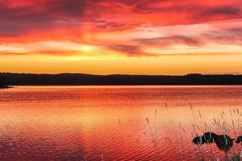 Hamppulahti - foto 18