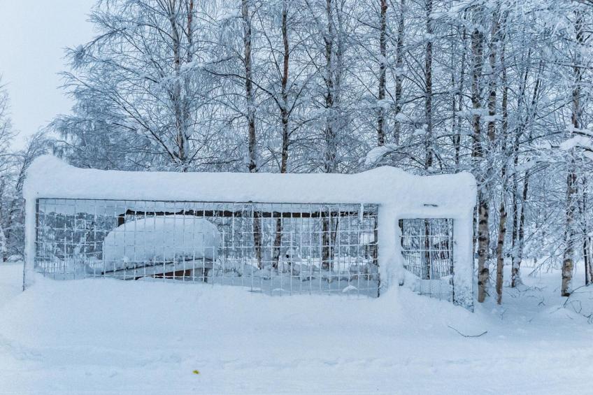 Keskiniemi - foto 23