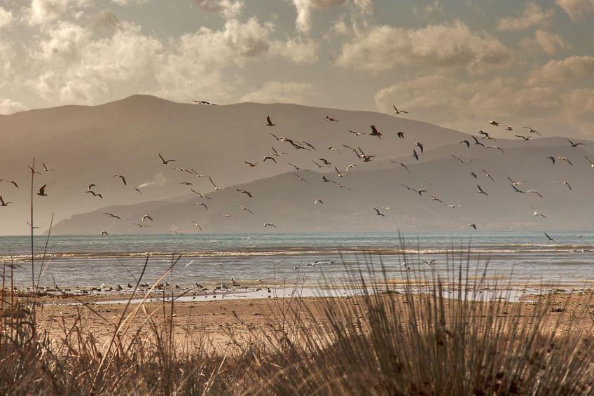 Luxuriöses Apartment mit einem Schlafzimmer direkt am Wasser, Meerblick - foto 43