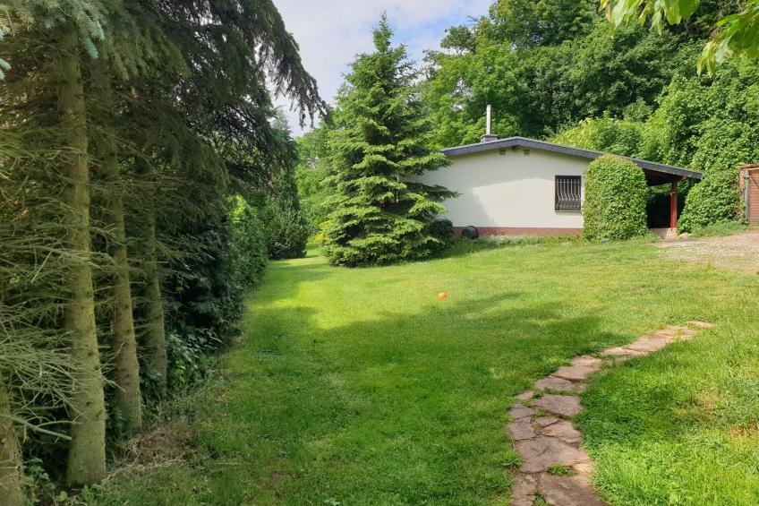 Buchengrund - foto 5