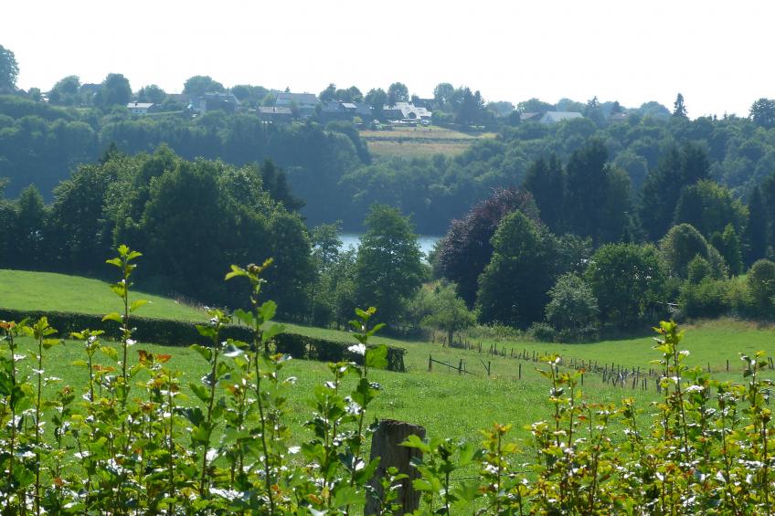 Au bord du Lac - foto 5