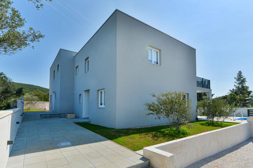 Gušt - foto 27