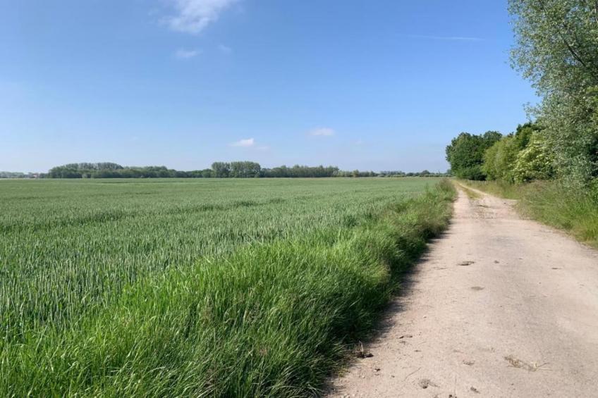 SCORPIO BI - foto 31