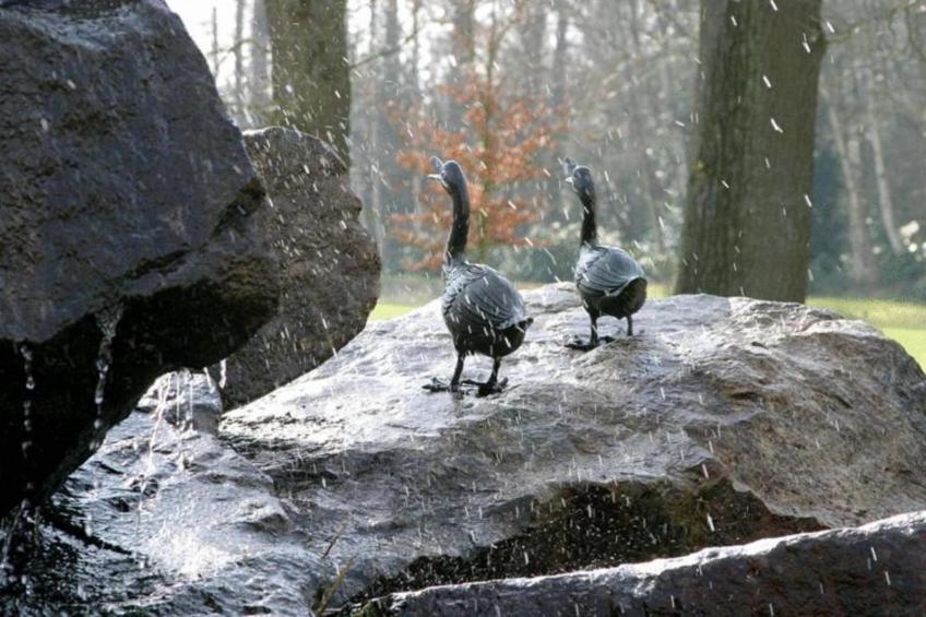 Ferienresort Bad Bentheim - foto 37