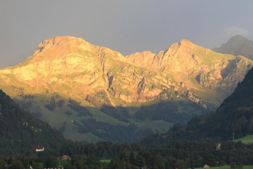 Marcello's Gartenhüsli - foto 6