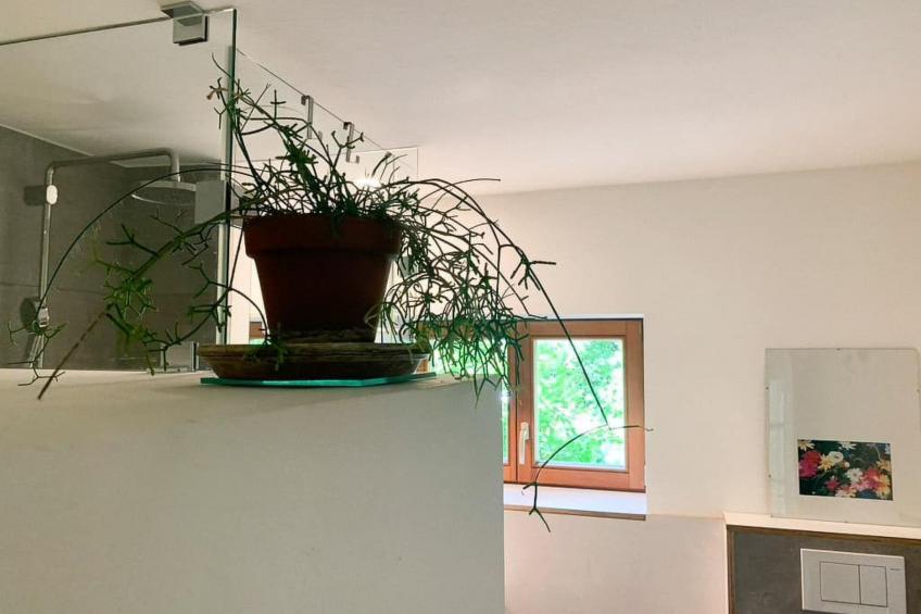 Idyllisch am Waldrand gelegene Ferienwohnung - foto 16