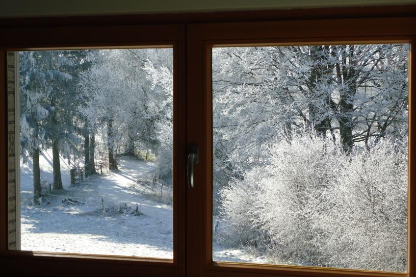 am Hohen Venn - foto 9