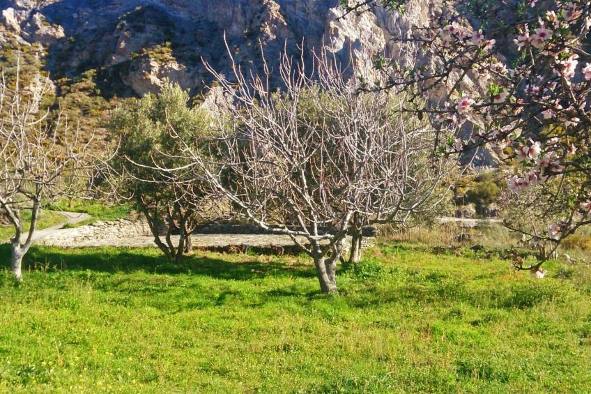 Gemütliches Haus mit Schwimmbad in La Alpujarra - foto 30
