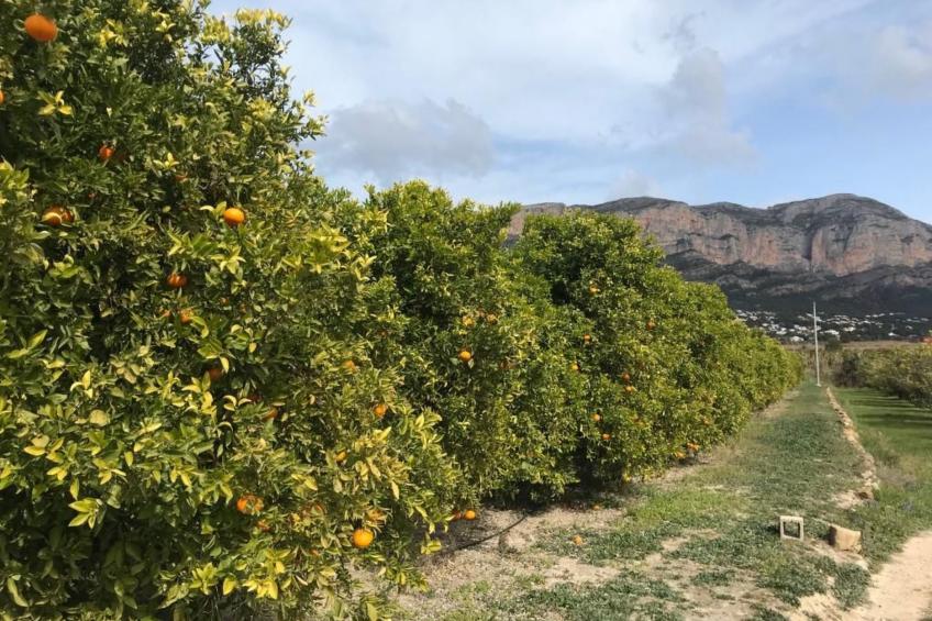 Villa SOL 32 - foto 51