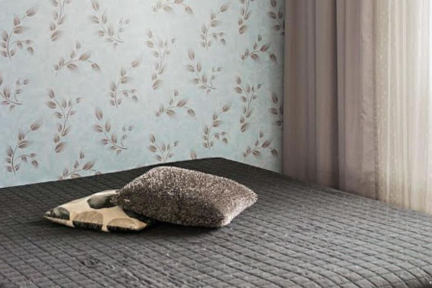 Tervaharju - foto 13