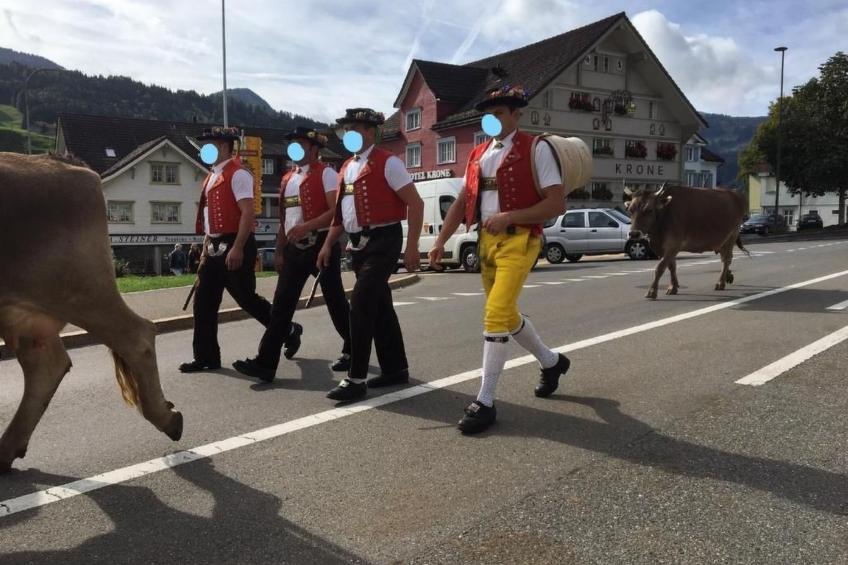 Bömmeli,Appenzell AR - foto 29