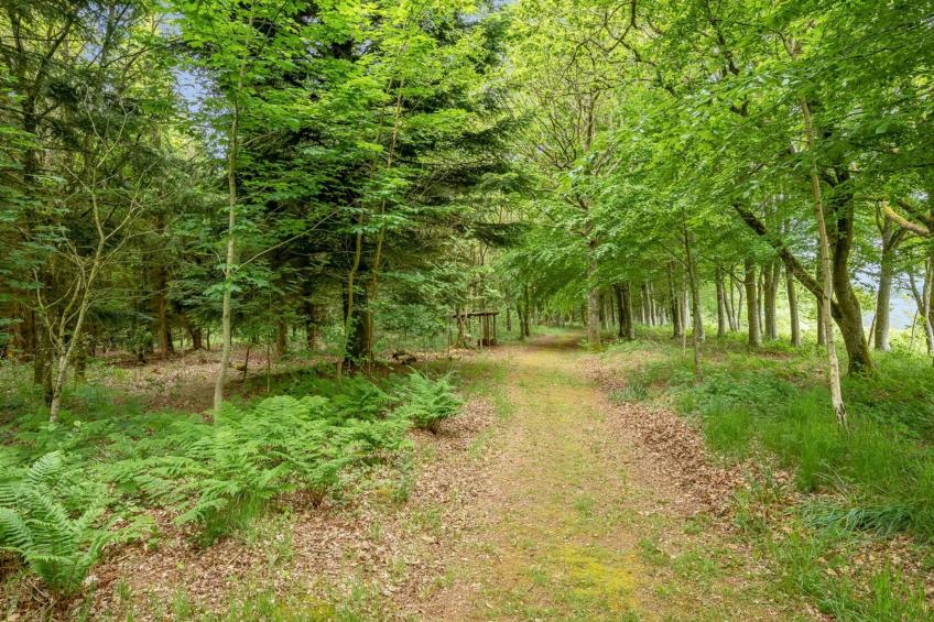 "Tatiane" - 10km from the sea in Western Jutland - foto 49