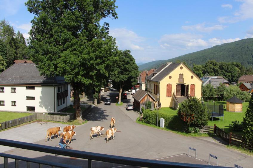 Ski Nature Apartment Lungau Top 6 - foto 24