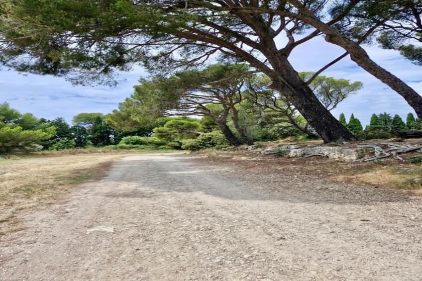 Résidence Le Mas des Alpilles - foto 31