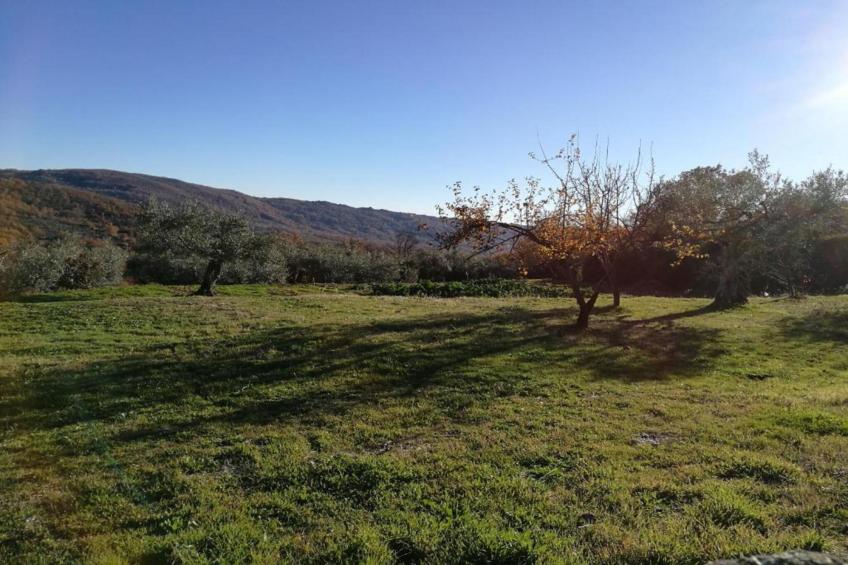 Casa de Pueblo "Rodrigo" Sierra de Gata Cáceres - foto 40