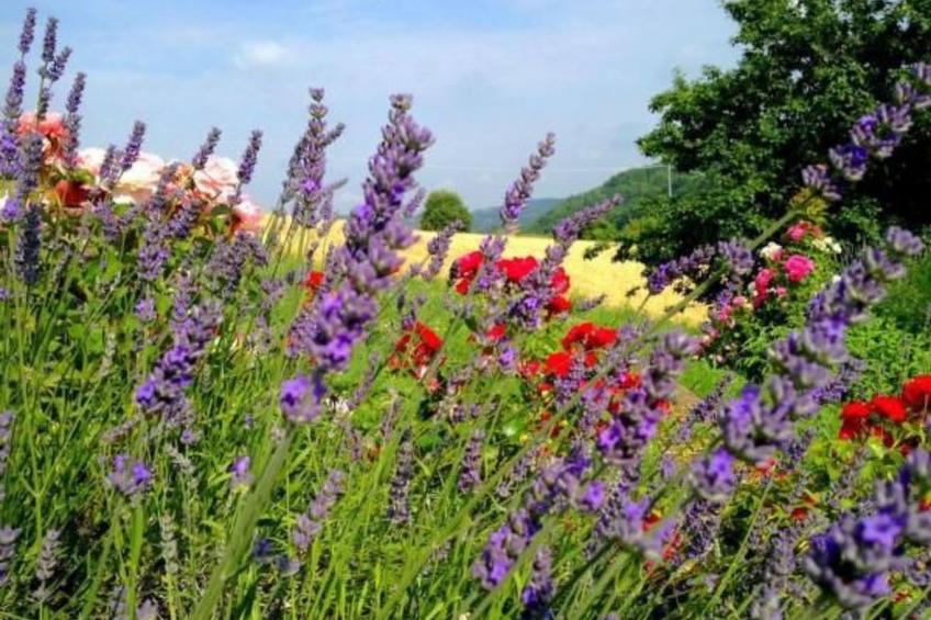 Piccola casa romantica - foto 24