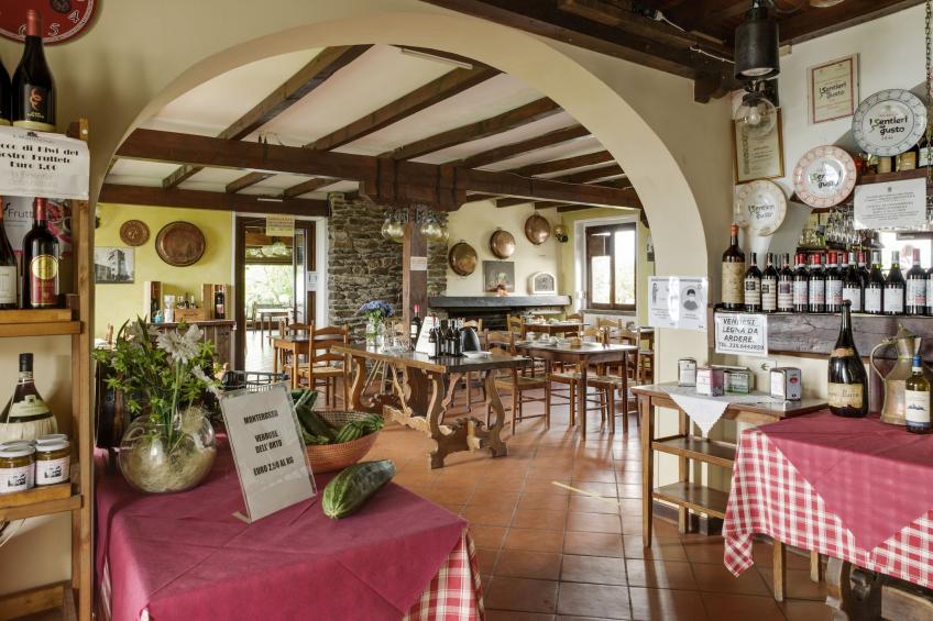 Rododendro - foto 31