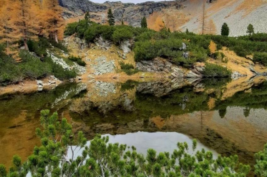 Sonnige 2.5-Zimmer Wohnung an ruhiger Lage - foto 8