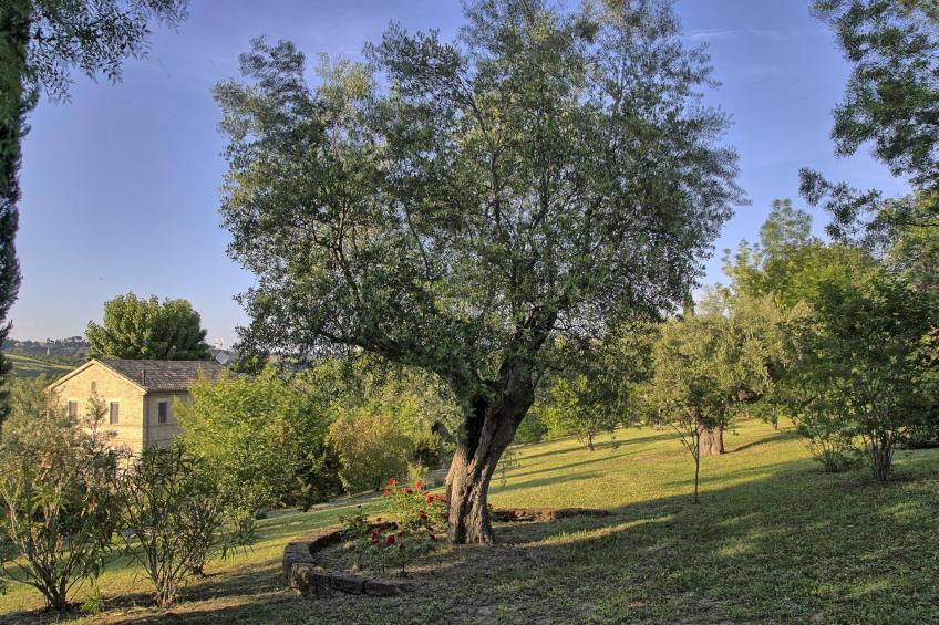 Haus der Musik 270m Veranda, Garten und Pool - foto 34