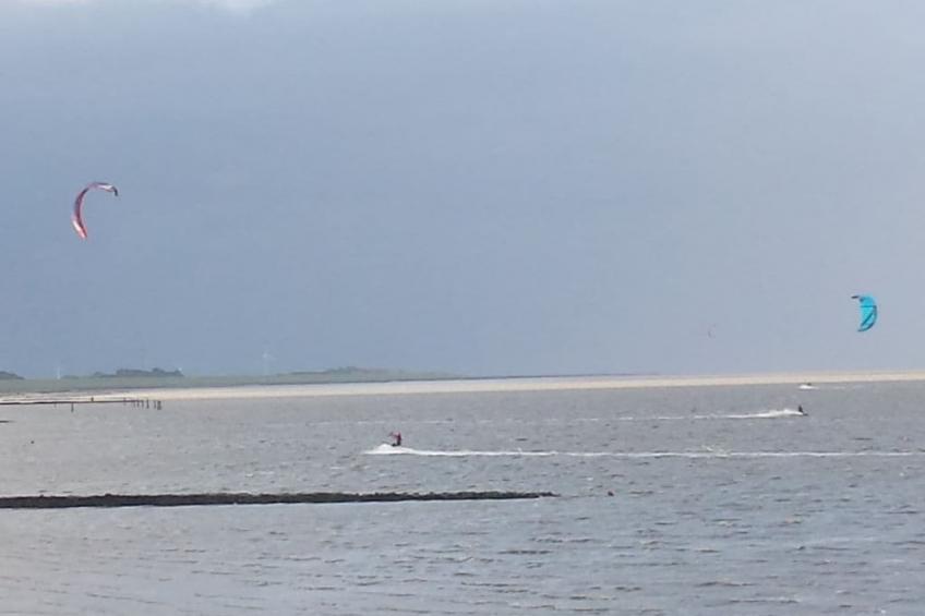 219204 - foto 24