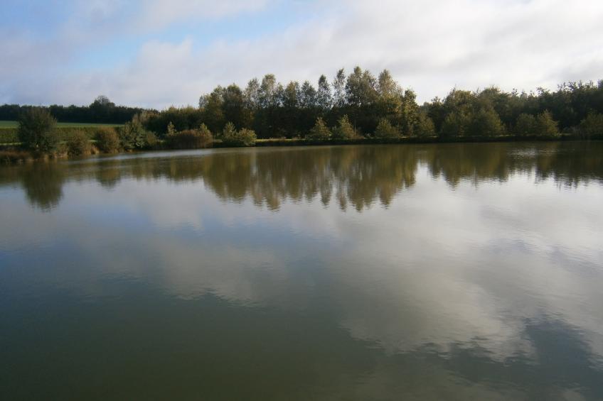 Gite Le Renard - foto 40