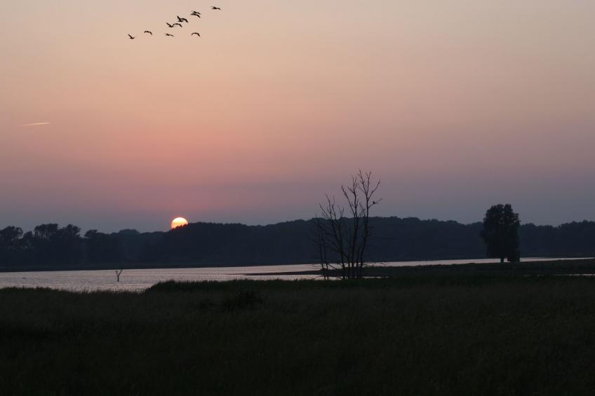 in idylischer Lage - foto 31