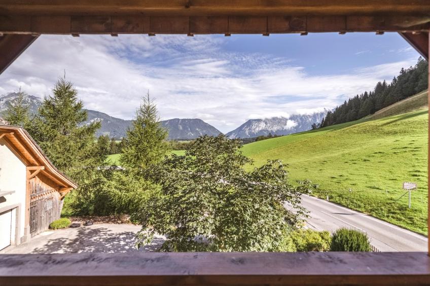 Naturpark Chalet Schladming-Dachstein - foto 23
