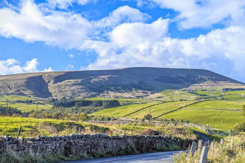 FLAT 4- GROVE APARTMENTS - foto 30