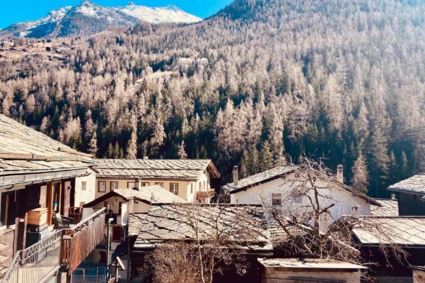 Morgengruss - foto 16