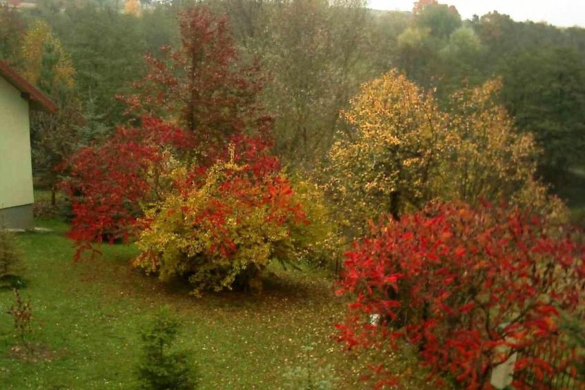 Komfortables Ferienhaus Ewa in Meszna Opacka - foto 20