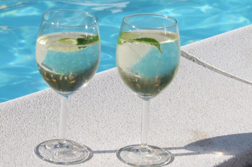 Gala+ Vernatsch - foto 19