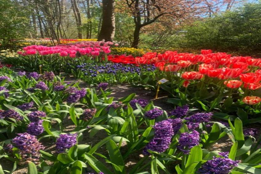 Hoeve Stolpwijk - foto 38