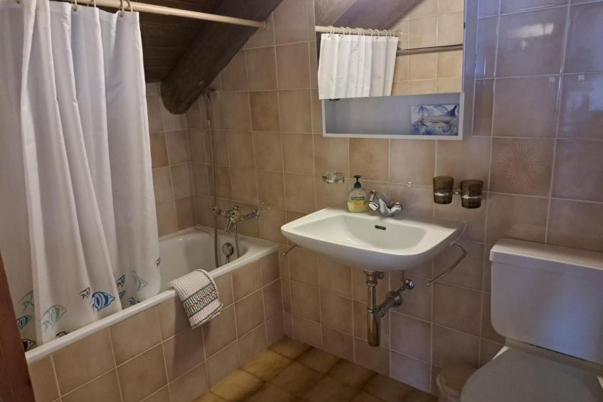 Chesa Truog Burdun DW - foto 10