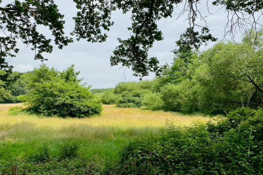 Buitenplaats Gerner 7 - foto 27