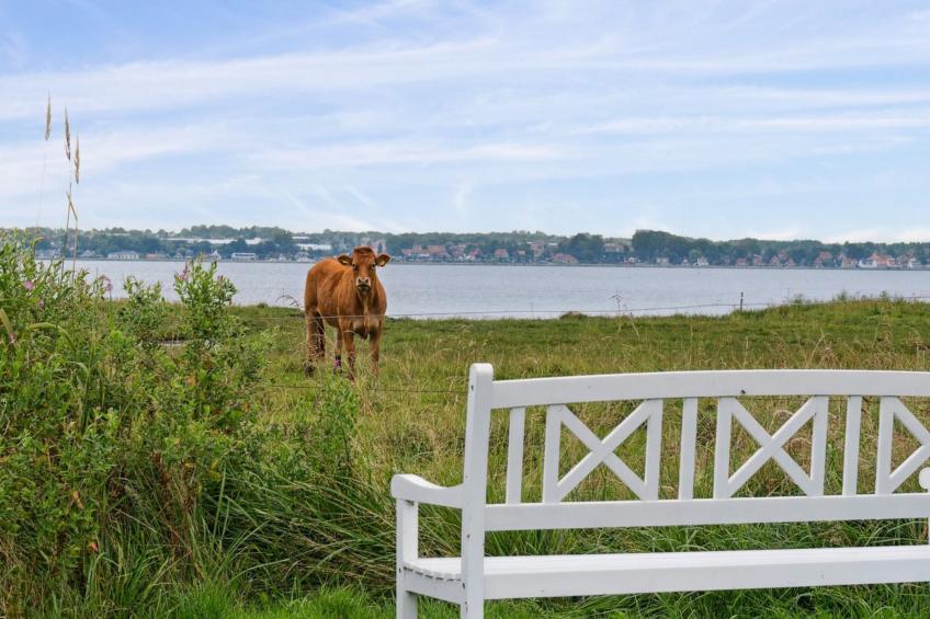 "Thyra" - 50m to the inlet - foto 5